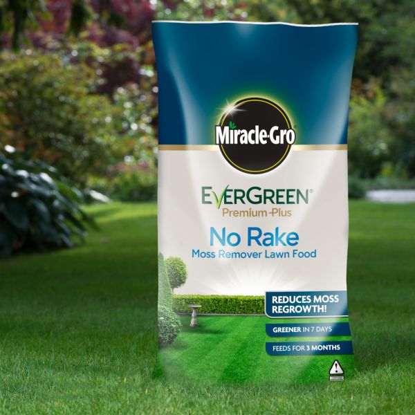 Miracle-Gro Evergreen No Moss No Rake 100m
